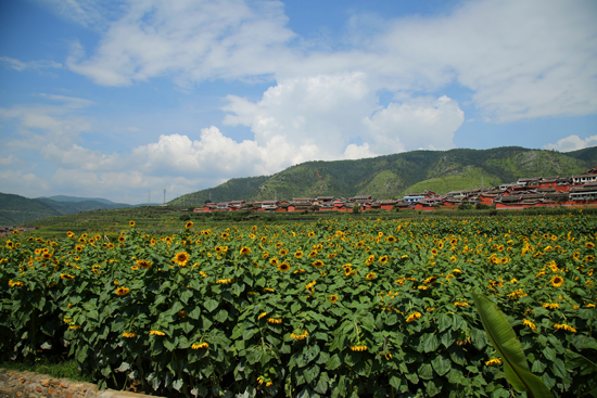 互坑笑嘻嘻 这款游戏队友越菜欢喜越多‘澳门十大娱乐平台入口网