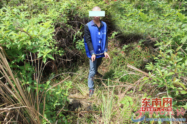 澳门十大娱乐平台入口网址