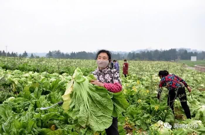 澳门十大娱乐官网入口